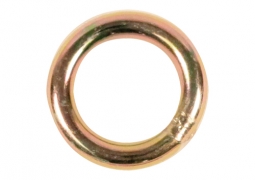 1" Stainless Steel Round Ring (4,400 lbs)